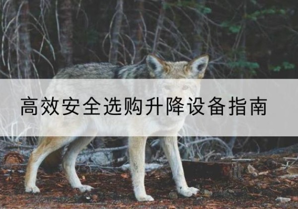 大城升降货梯厂家推荐-*安全选购升降设备指南