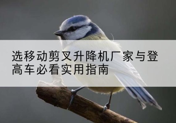 大城电动升降机厂家-选移动剪叉升降机厂家与登高车必看实用指南